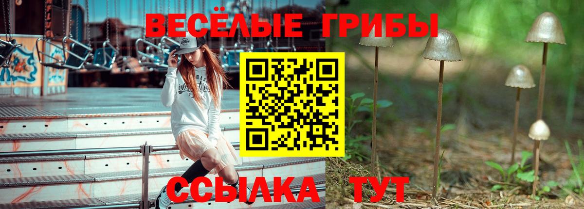 Галлюциногенные грибы мухоморы Муравленко